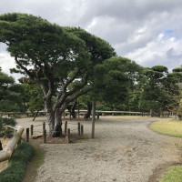 |6010| | Zahrada Mito Kairaku-en