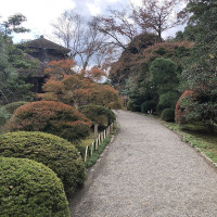 |6023| | Zahrada Mito Kairaku-en