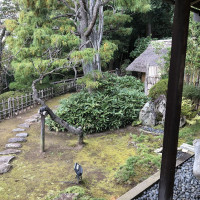 |6048| | Zahrada Mito Kairaku-en