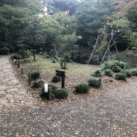 |6168| | Zahrada Mito Rikugien