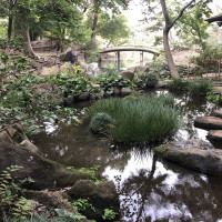 |6172| | Zahrada Mito Rikugien