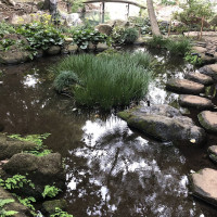|6174| | Zahrada Mito Rikugien