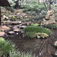 |6175| | Zahrada Mito Rikugien