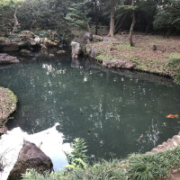 |6177| | Zahrada Mito Rikugien