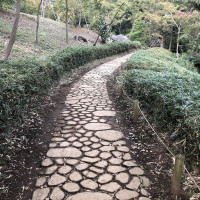 |6186| | Zahrada Mito Rikugien