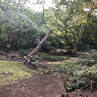 |6189| | Zahrada Mito Rikugien