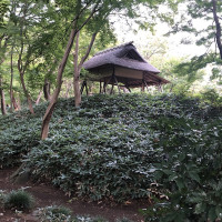 |6190| | Zahrada Mito Rikugien