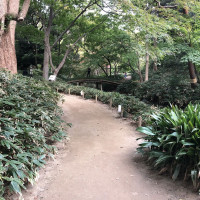 |6192| | Zahrada Mito Rikugien