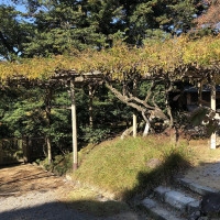 |6368| | Zahrada Kanazawa Kenrokuen
