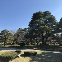 |6376| | Zahrada Kanazawa Kenrokuen