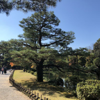 |6377| | Zahrada Kanazawa Kenrokuen