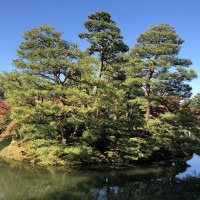 |6378| | Zahrada Kanazawa Kenrokuen