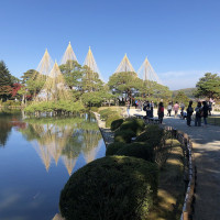 |6379| | Zahrada Kanazawa Kenrokuen