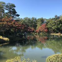 |6381| | Zahrada Kanazawa Kenrokuen