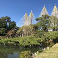|6382| | Zahrada Kanazawa Kenrokuen