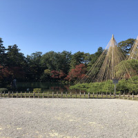 |6384| | Zahrada Kanazawa Kenrokuen