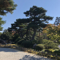 |6388| | Zahrada Kanazawa Kenrokuen