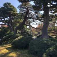 |6391| | Zahrada Kanazawa Kenrokuen