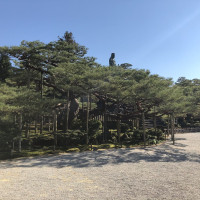 |6395| | Zahrada Kanazawa Kenrokuen