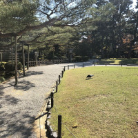 |6396| | Zahrada Kanazawa Kenrokuen