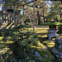 |6399| | Zahrada Kanazawa Kenrokuen