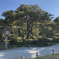 |6404| | Zahrada Kanazawa Kenrokuen
