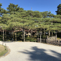 |6405| | Zahrada Kanazawa Kenrokuen