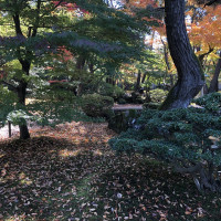 |6414| | Zahrada Kanazawa Kenrokuen