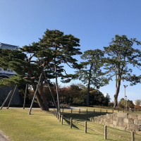|6354| | Zahrada Kanazawa Gyokusen-immaru