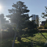 |6361| | Zahrada Kanazawa Gyokusen-immaru