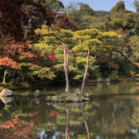 |5297| | Chrám Kjóto Kinkakuji - Zlatý pavilón