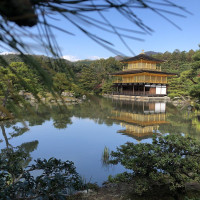 |5299| | Chrám Kjóto Kinkakuji - Zlatý pavilón