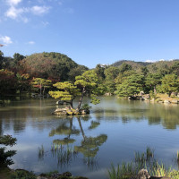 |5300| | Chrám Kjóto Kinkakuji - Zlatý pavilón