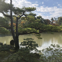 |5305| | Chrám Kjóto Kinkakuji - Zlatý pavilón