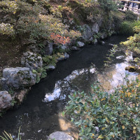 |5317| | Chrám Kjóto Kinkakuji - Zlatý pavilón