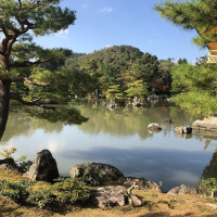 |5311| | Chrám Kjóto Kinkakuji - Zlatý pavilón