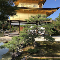 |5322| | Chrám Kjóto Kinkakuji - Zlatý pavilón