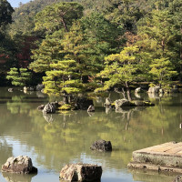|5324| | Chrám Kjóto Kinkakuji - Zlatý pavilón