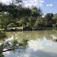 |5325| | Chrám Kjóto Kinkakuji - Zlatý pavilón