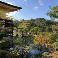 |5328| | Chrám Kjóto Kinkakuji - Zlatý pavilón