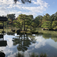 |5329| | Chrám Kjóto Kinkakuji - Zlatý pavilón