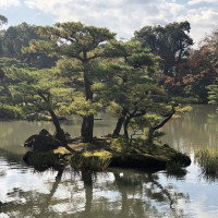 |5330| | Chrám Kjóto Kinkakuji - Zlatý pavilón