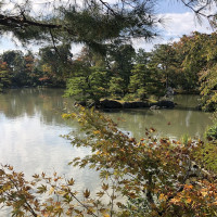 |5331| | Chrám Kjóto Kinkakuji - Zlatý pavilón