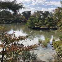 |5332| | Chrám Kjóto Kinkakuji - Zlatý pavilón