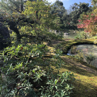 |5334| | Chrám Kjóto Kinkakuji - Zlatý pavilón