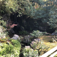 |5336| | Chrám Kjóto Kinkakuji - Zlatý pavilón