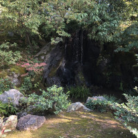 |5337| | Chrám Kjóto Kinkakuji - Zlatý pavilón