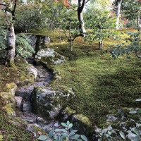 |5340| | Chrám Kjóto Kinkakuji - Zlatý pavilón