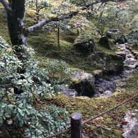 |5341| | Chrám Kjóto Kinkakuji - Zlatý pavilón