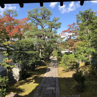 |5405| | Chrám Kjóto Tanzo-in
